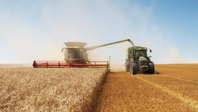 Combine harvester transferring wheat to a trailer towed by a tractor in a vast golden wheat field under a clear sky