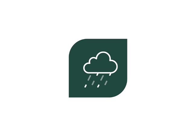 A green and white logo with a rain cloud