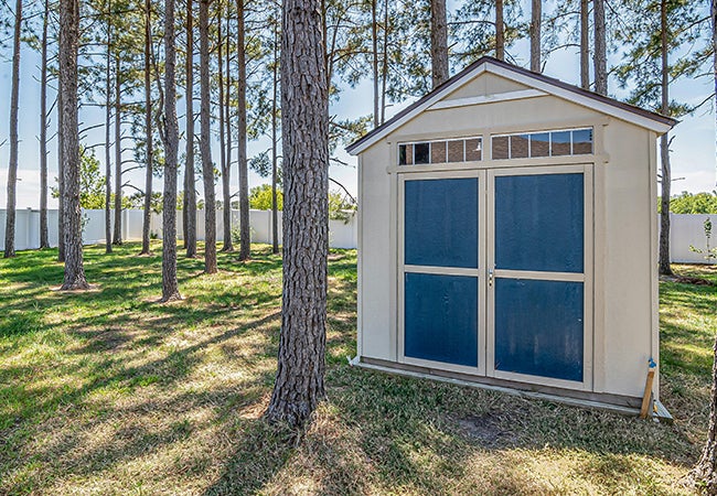 Large shed within trees