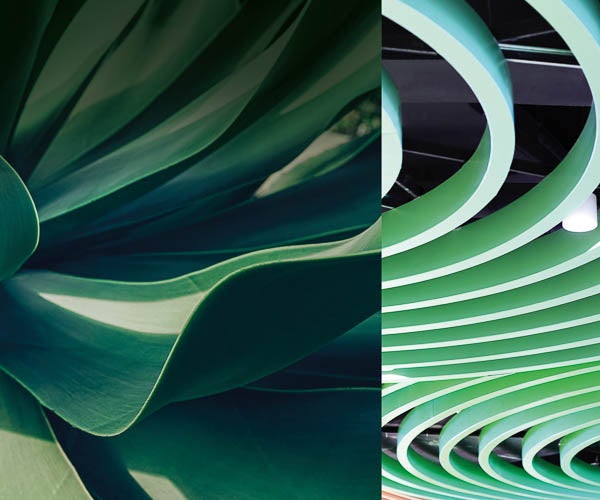 Green image for Verdant Sanctuary pallete