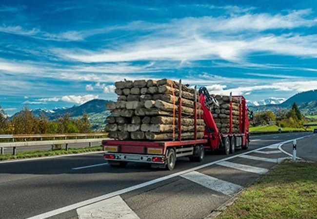 Trailer transporting logs travelling on road