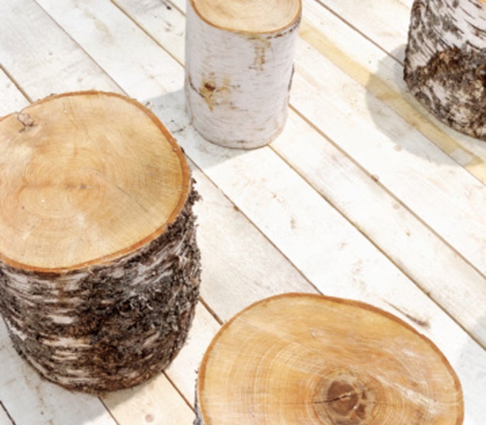 A group of stumps on a table
