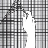 Bed reinforcing Stormshield Mesh Cloth into Basecoat.
