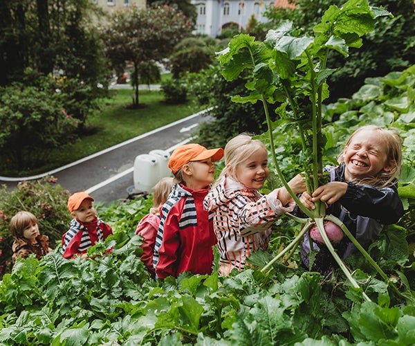 Group of children surrounded by plants