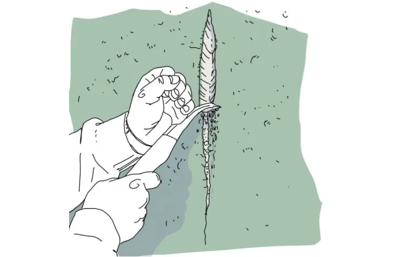 Laga sprickor putsfasad Alcro färg