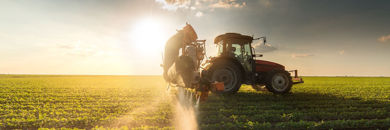 Harvesting equipment in a field backlit by a bright sky