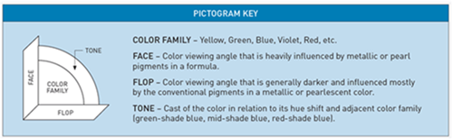 Pictogram showing face and flop for color family