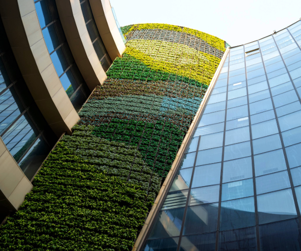 Exterior of office building with greenery.