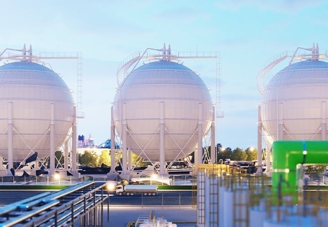 A group of white spherical structures
