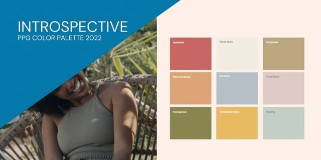 The Introspective color story is for those that prioritize self-care and appreciate life's simple pleasures. Create a serene and intimate space with colors like PPG's Tea Time, Peace, Silver Service and Pine Whisper, which complement the soothing comfort of Olive Sprig.