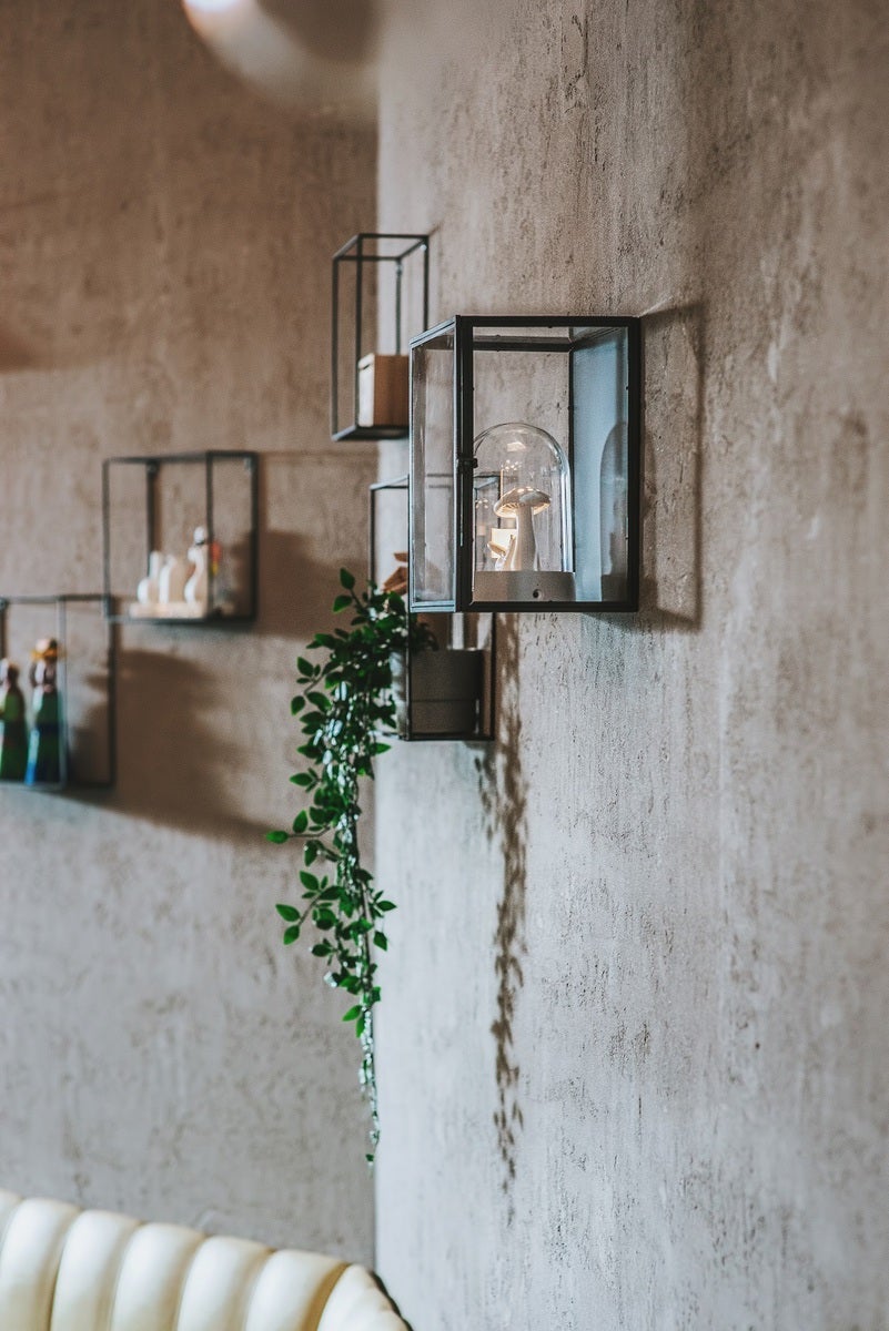 Stěna se svítidlem a rostlinou