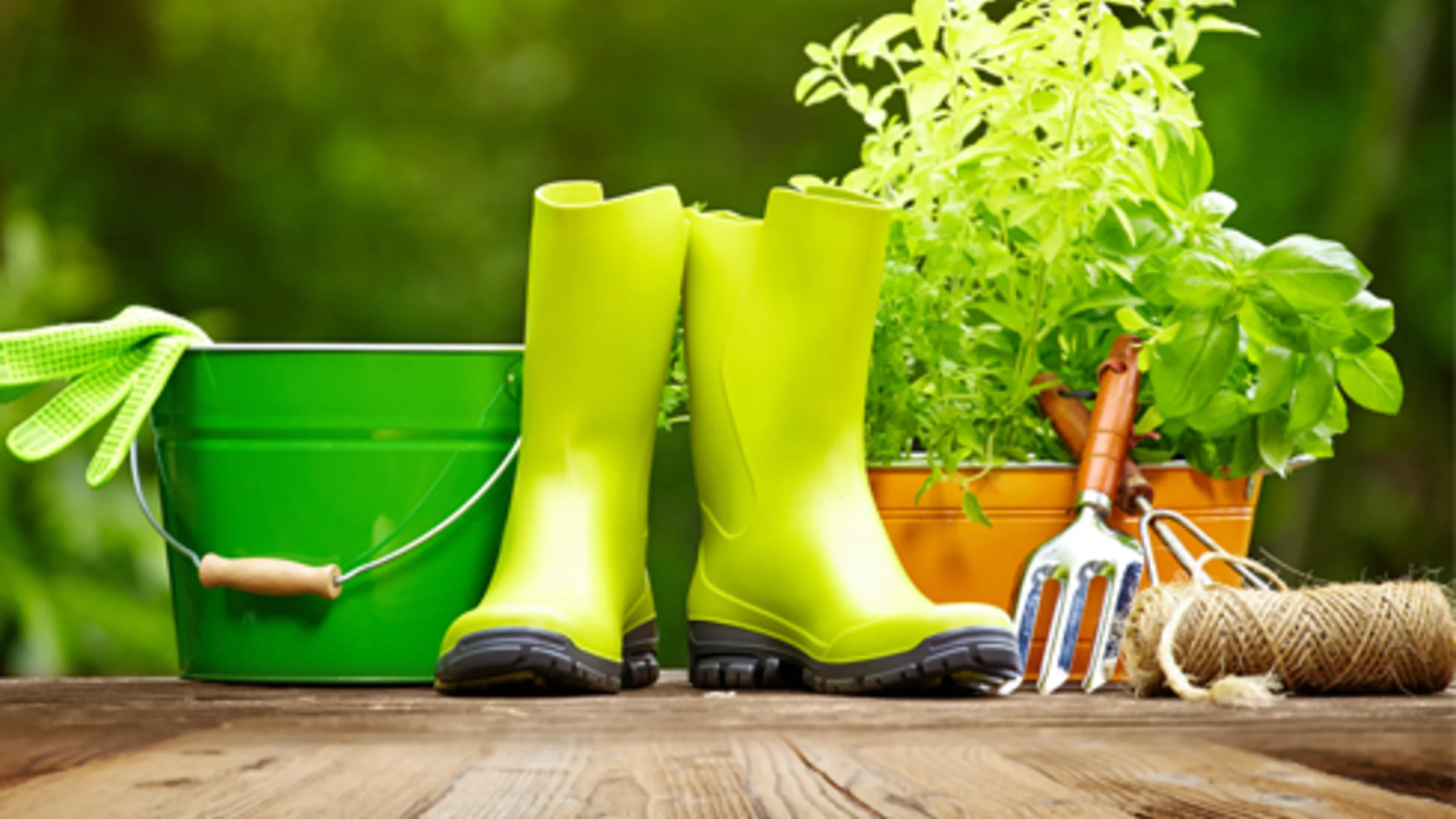 Groene tuinemmer, rubberlaarzen, kruidenplanten en tuingereedschap op een houten tafel