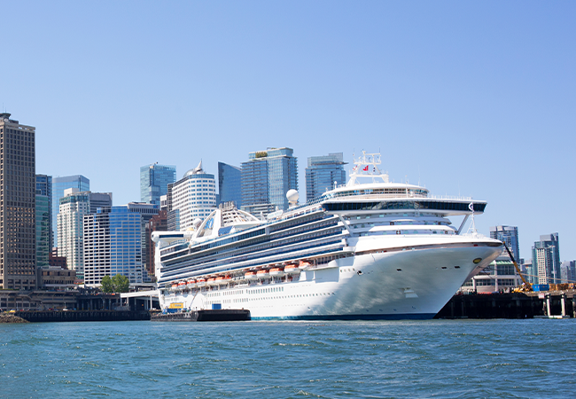 A cruise ship in the water