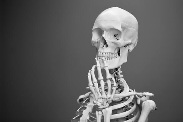 Skeleton in a thinking pose- Photo by Mathew Schwartz on Unsplash