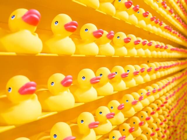 Rows of rubber ducks - Photo by JOSHUA COLEMAN on Unsplash
