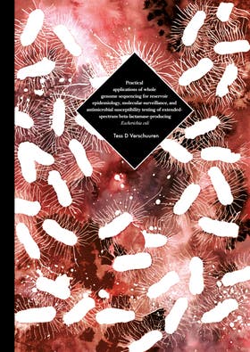 Proefschrift Tess Verrschuuren