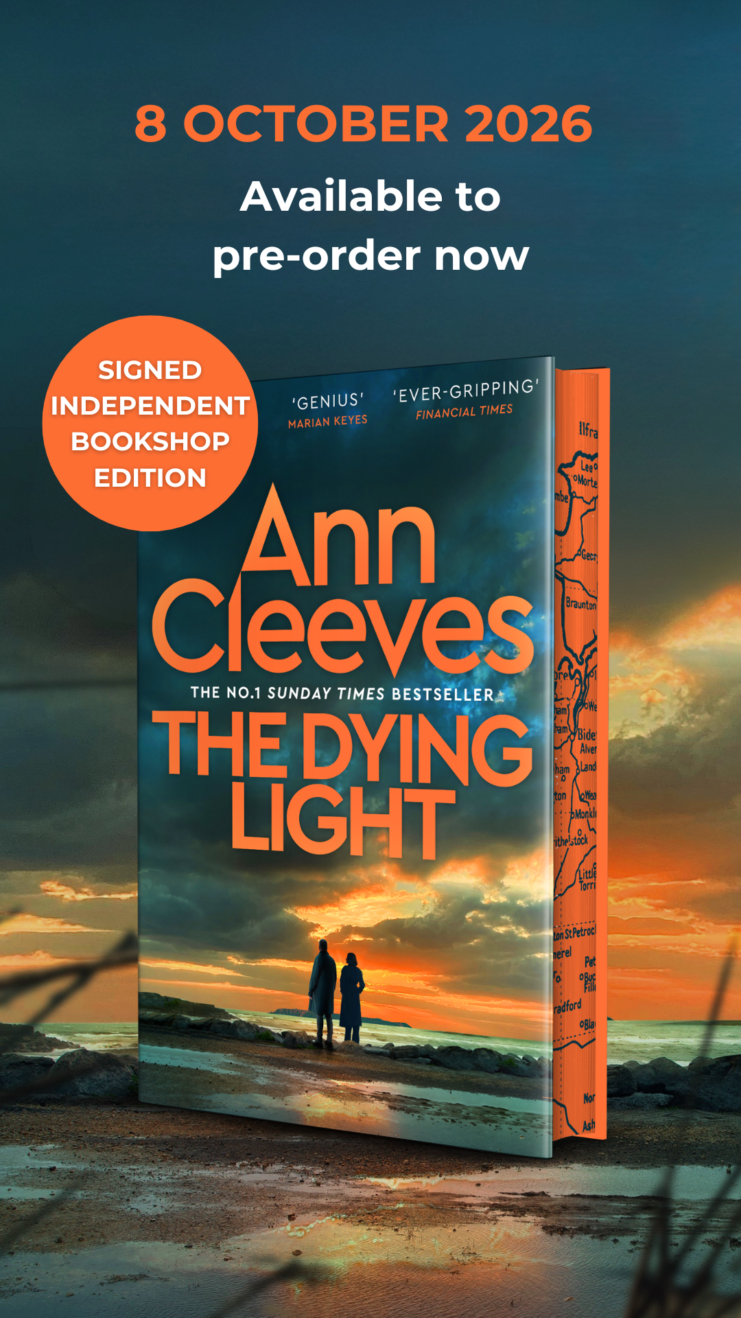 The Dying Light cover reveal (static) (1080 x 1920 px)_indie edition.png