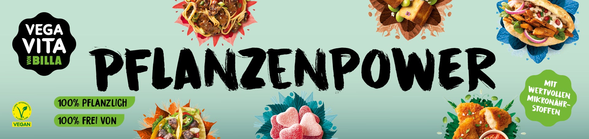 Vegavita: Pflanzenpower 100% Pflanzlich