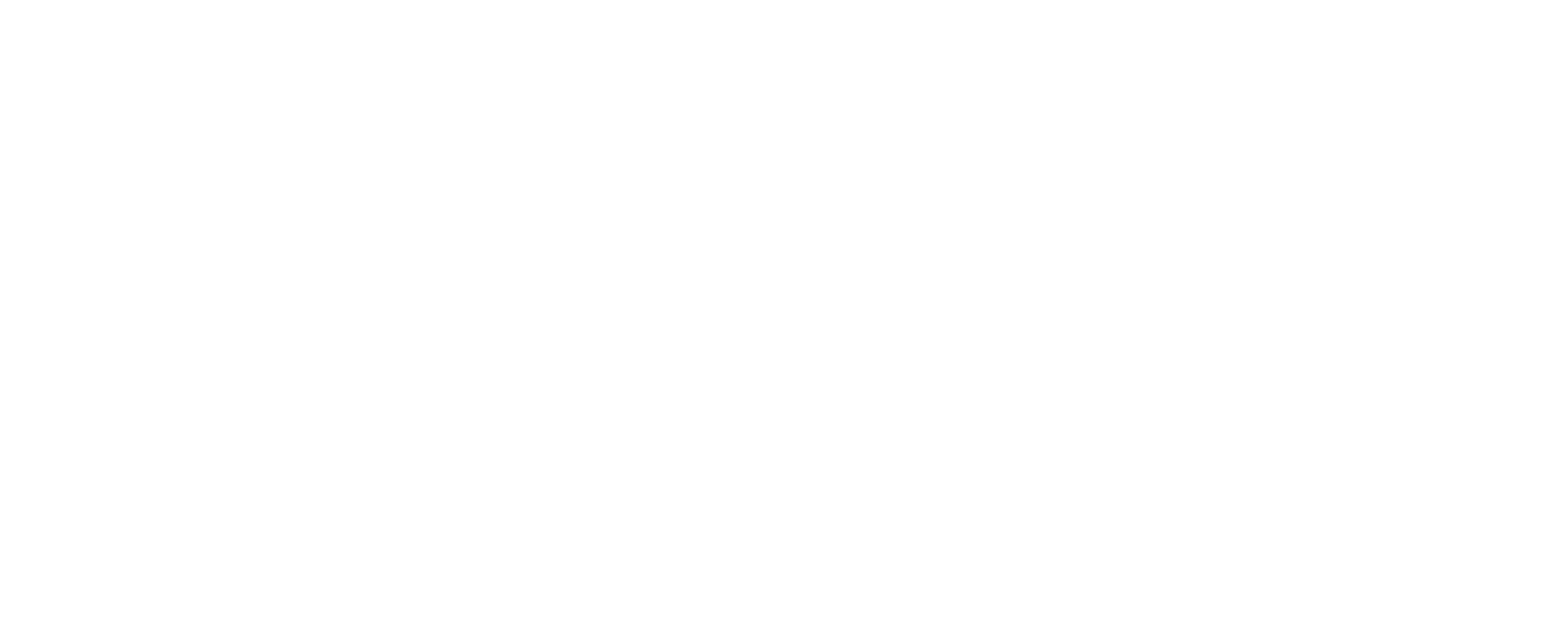 Sport England Logo White