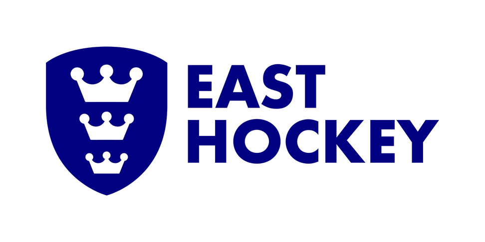 MR Cricket Hockey East Area Adult Hockey Leagues Rules Notes for the