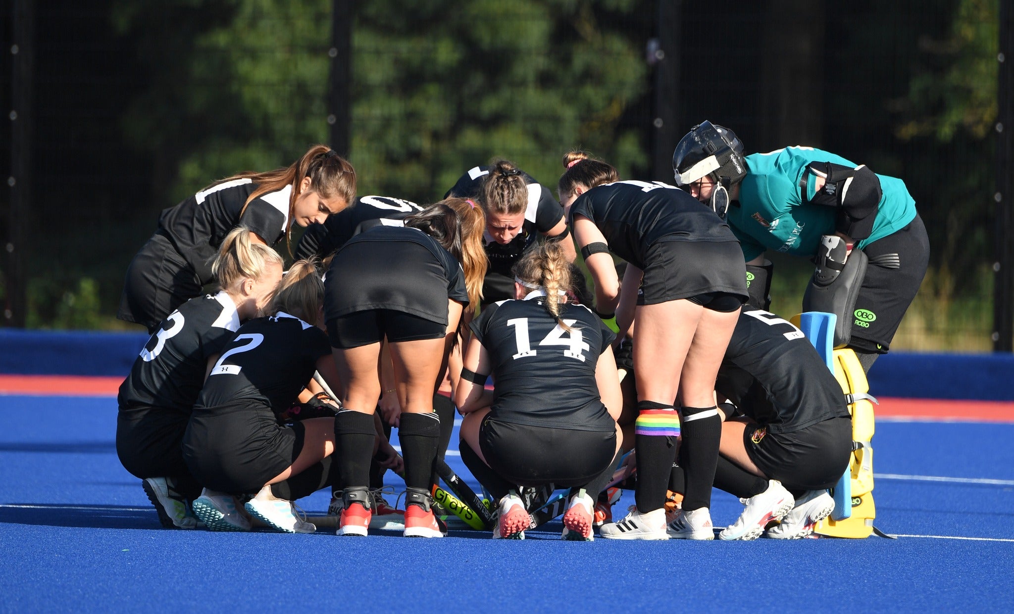 Female Hockey Players 