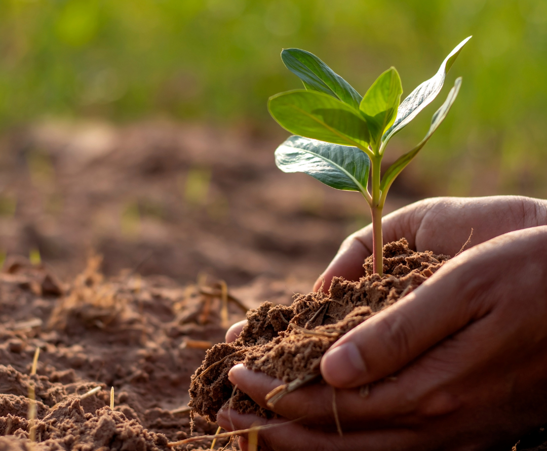 Tag der Naturwissenschaften