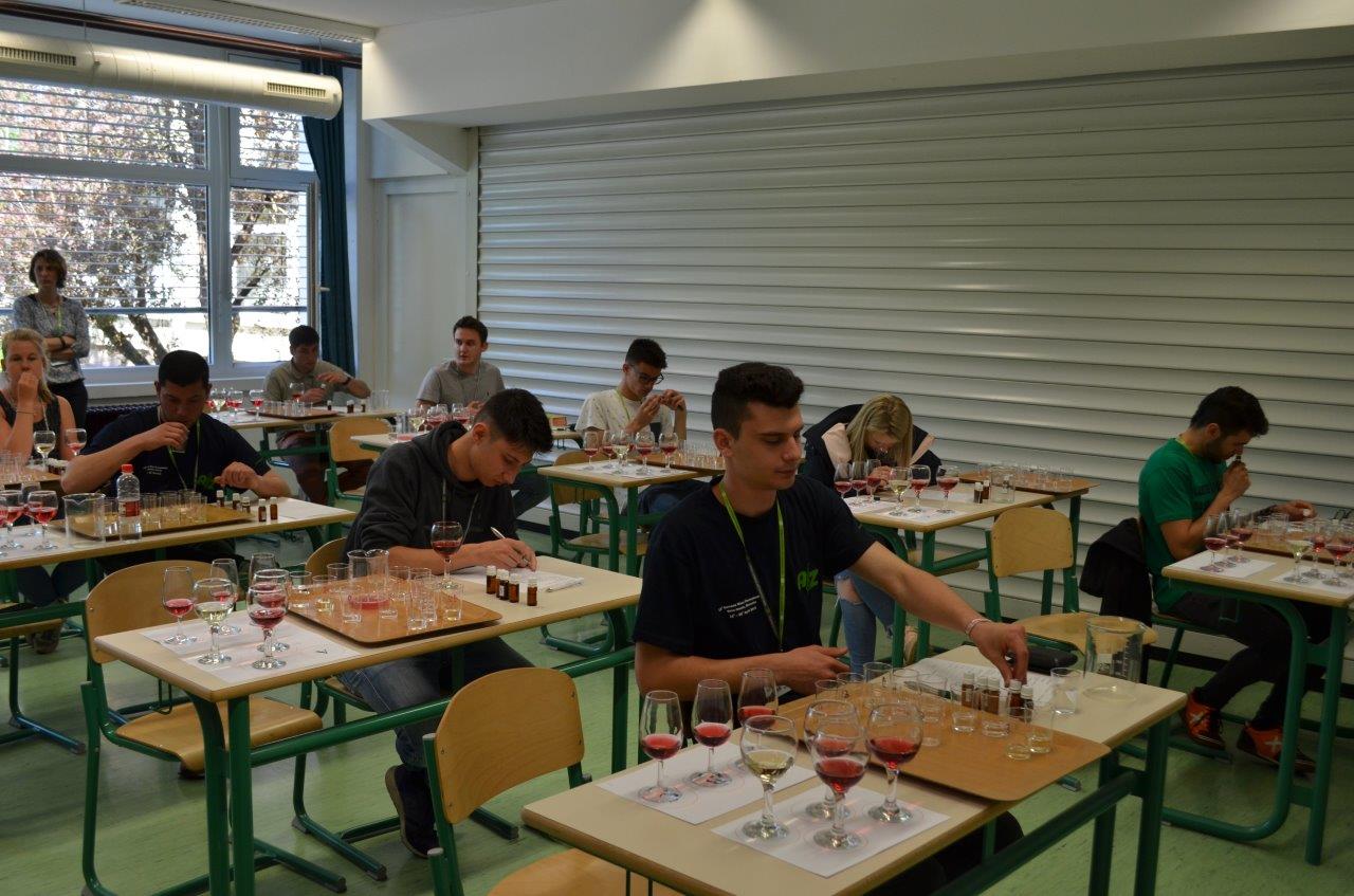 Europameisterschaft für Weinbauschülerinnen und -schüler