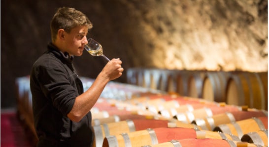 4. Klasse Spezialisierungsjahr Obst- und Weinbau