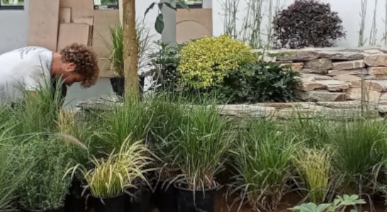 4. Klasse Spezialisierungsjahr Garten- und Landschaftsbau