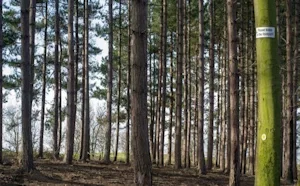 Short course card image to illustrate Investigating place with psychogeography