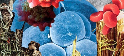 An image to illustrate the BA (Hons) Painting