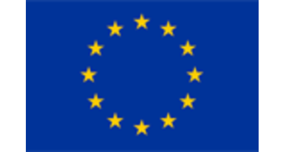 [external Link]: Europawahl 2024