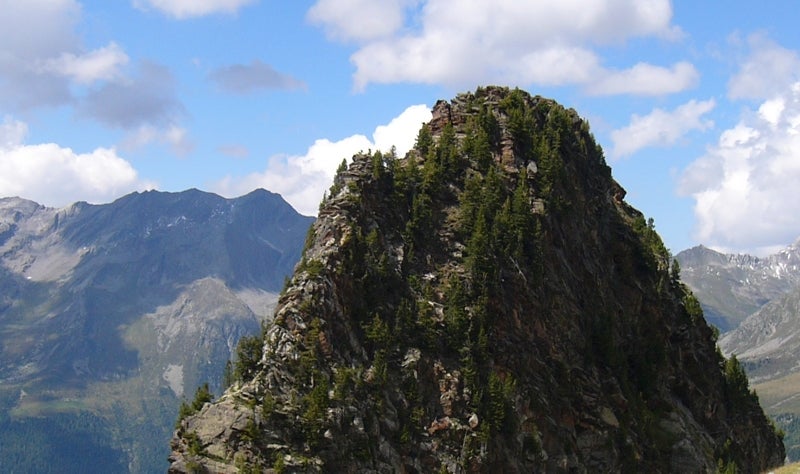 Tra le aree amministrate dalla stazione di vigilanza forestale Aica c’è quella denominata “Tristennöckl” situata sopra il paese di Riva di Tures – dove si trova il bosco di cirmolo più alto delle Alpi Orientali.