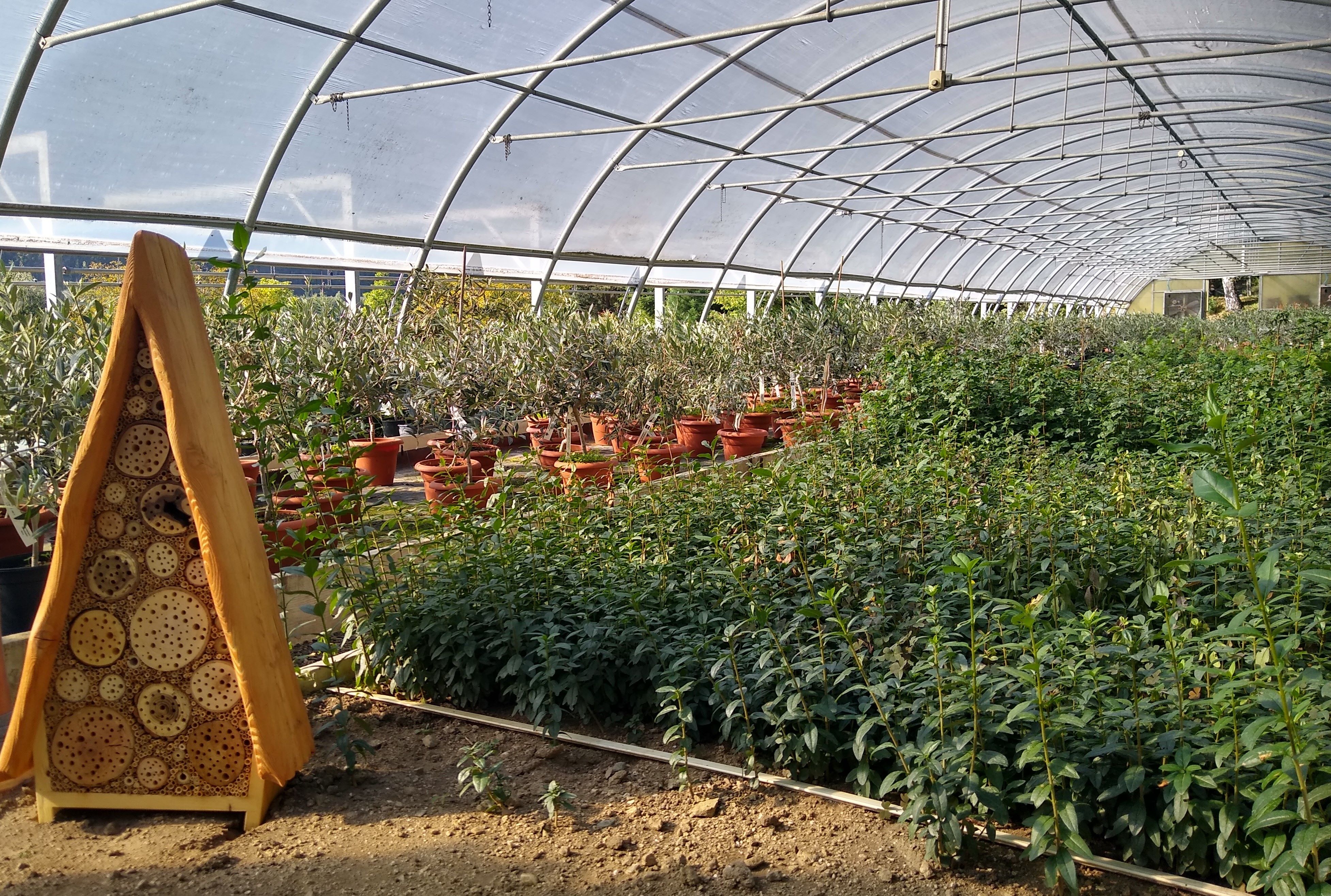 Forstgarten Aicha - Glashaus und Insektenhotel