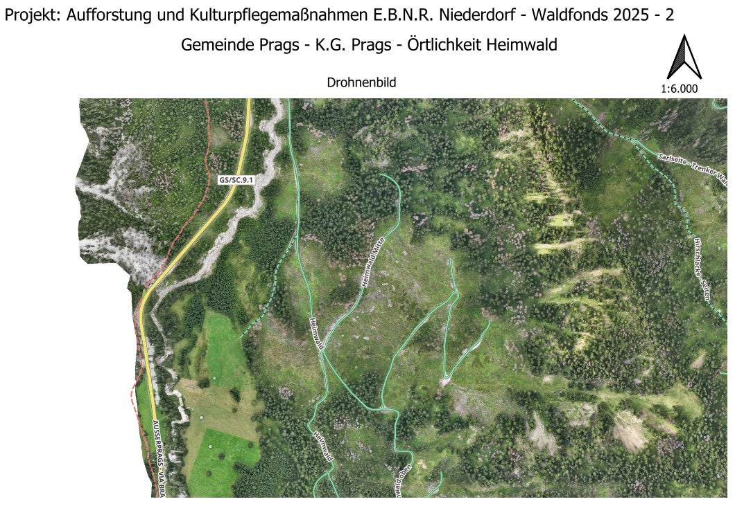 Rimboschimento Heimwald