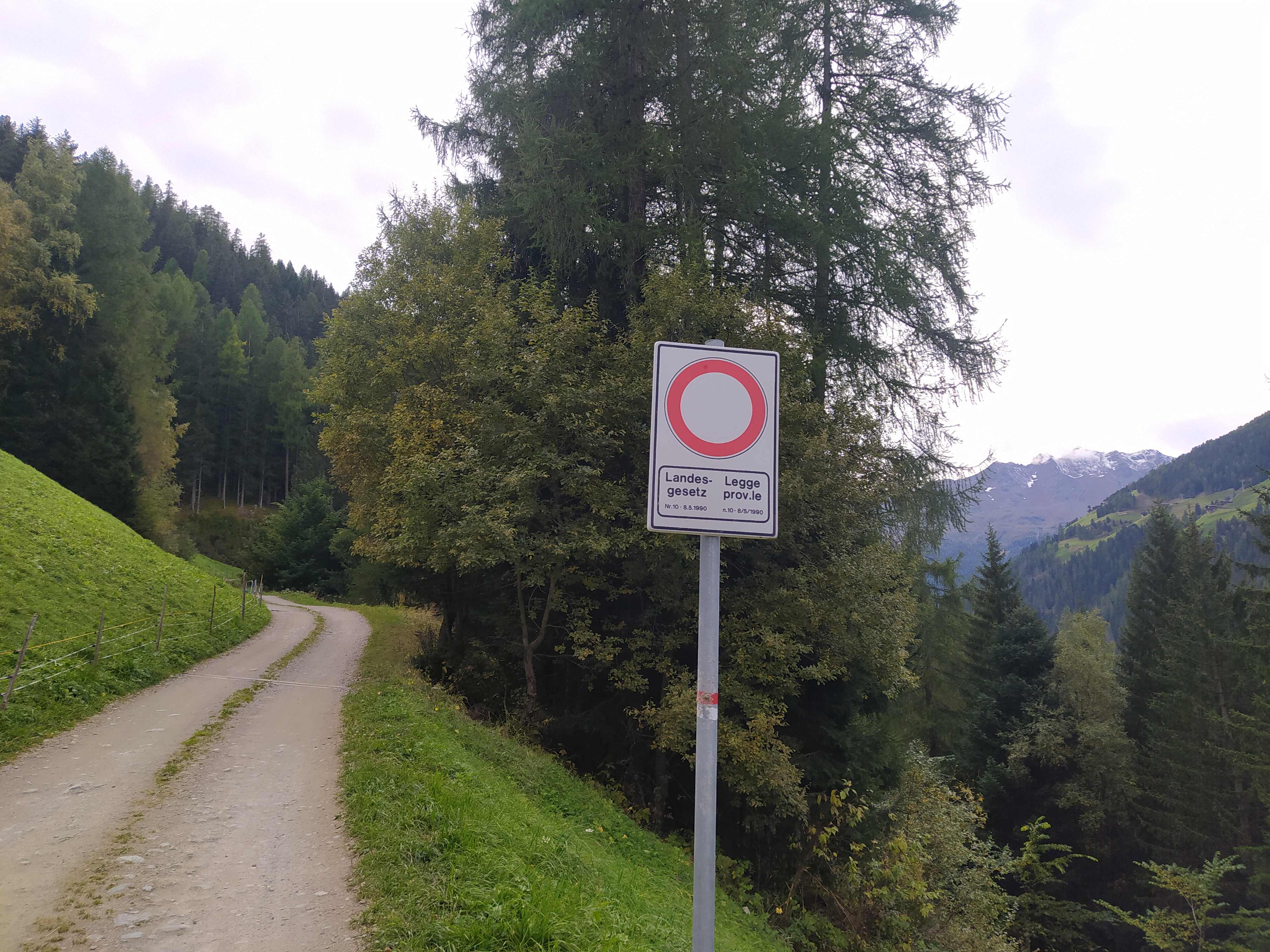 Strada forestale con segnale di divieto di transito in aree protette