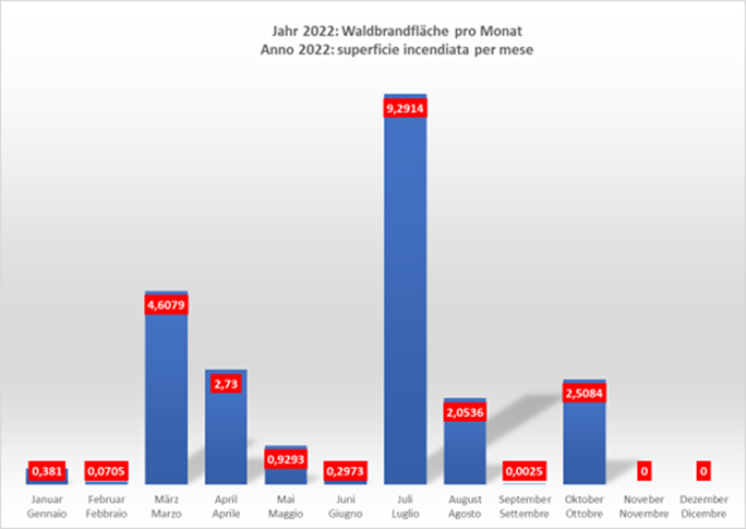 Grafico a barre con superficie incendiata per mese - Anno 2022