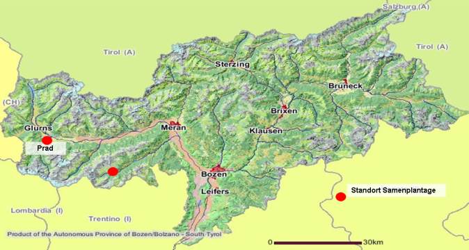 Carta di popolamento da seme