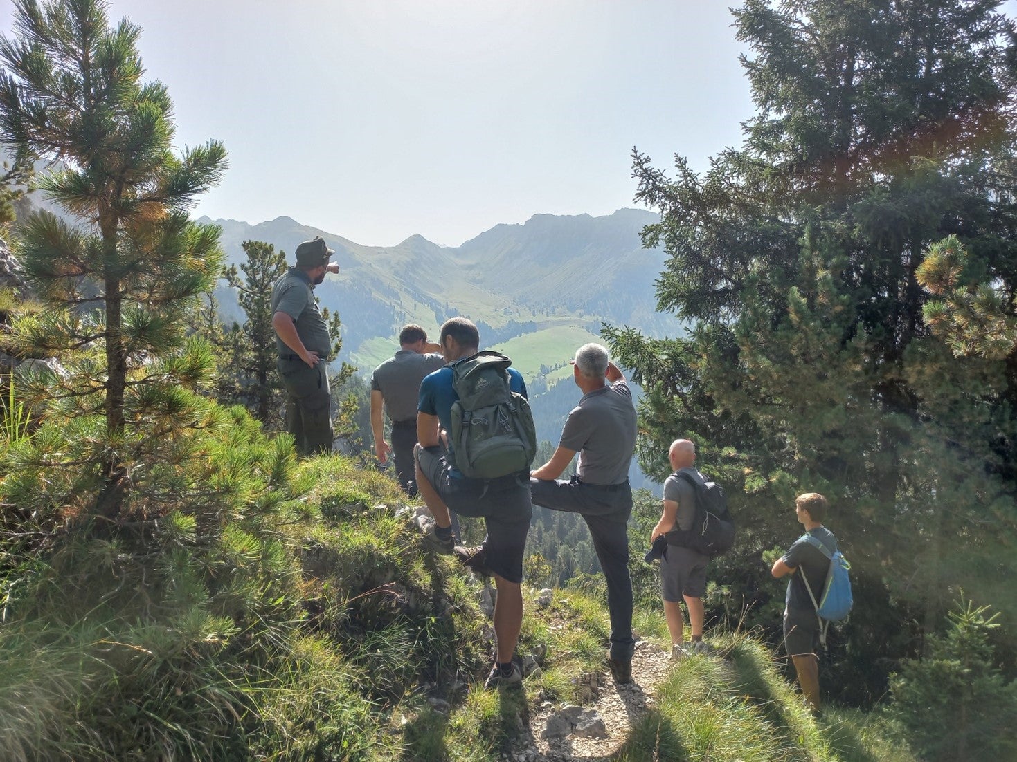 Landesforstdienst und Landesforstkorps