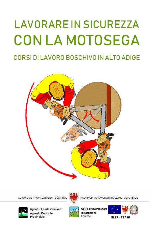Lavorare in sicurezza con la motosega
