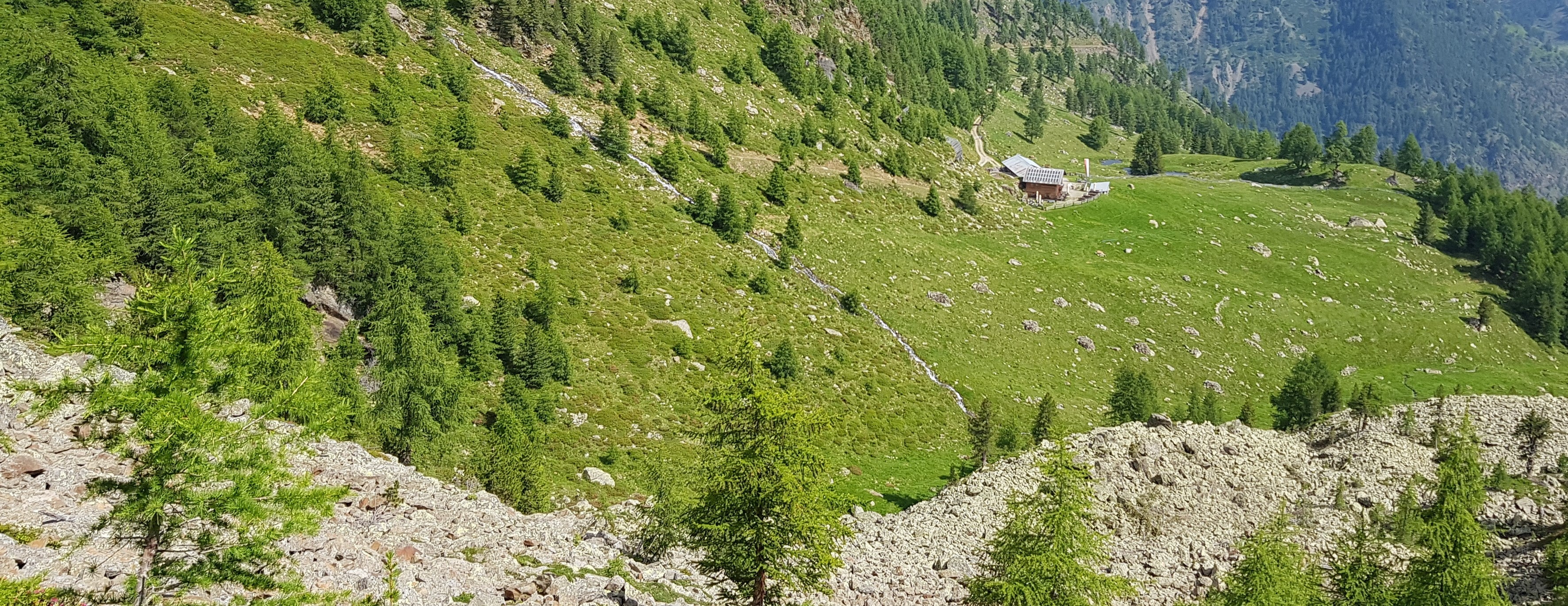 Il 13% delle malghe in Alto Adige, come la malga Kloster sopra Certosa in Val Senales, vengono gestiti da una interessenza.