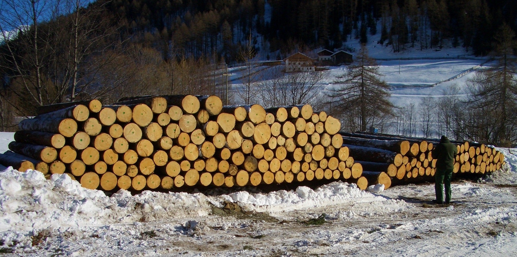 Holzversteigerung