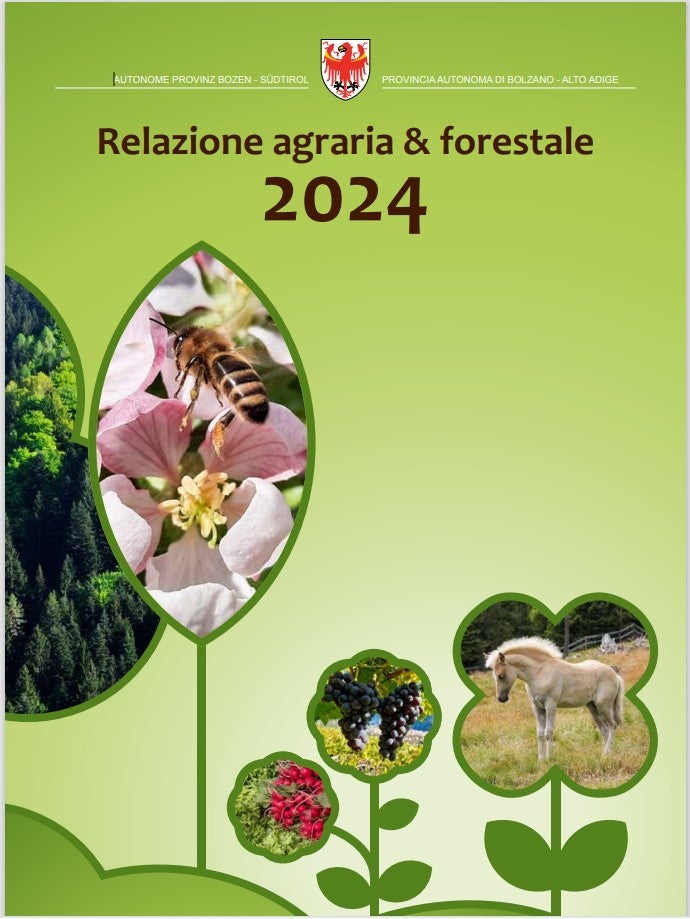 Relazione agraria & forestale 2024