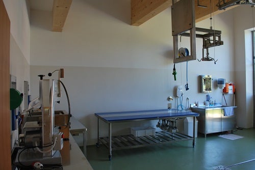 Aula lavorazione carni