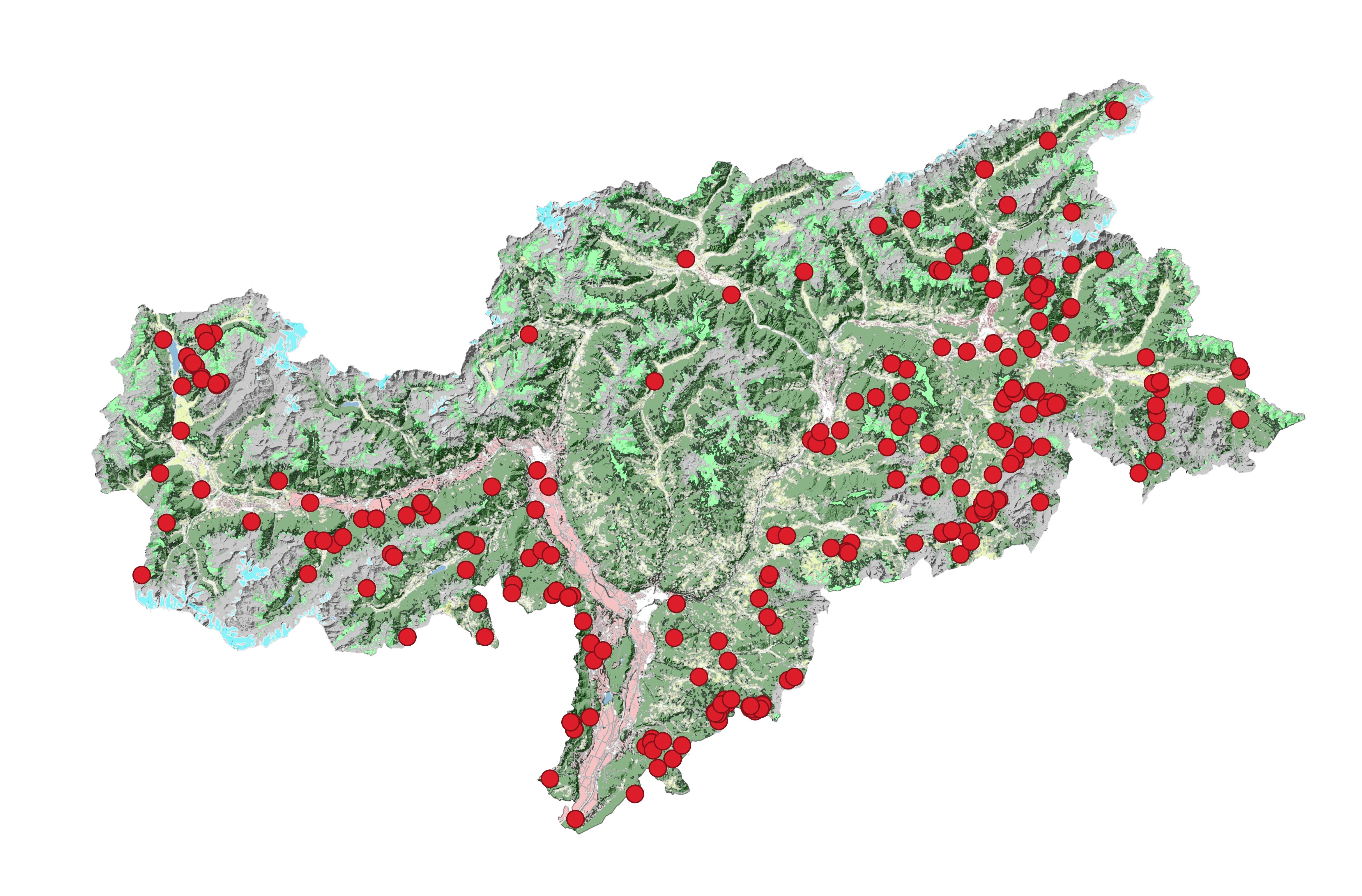 Presenze accertate del lupo in Alto Adige nel 2025