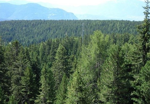 La stazione di misurazione del CO2 Selva Verde sul Renon è posta a 1.730 metri di altezza sul livello del mare ed è il più alto centro di rilevamento d'Europa.