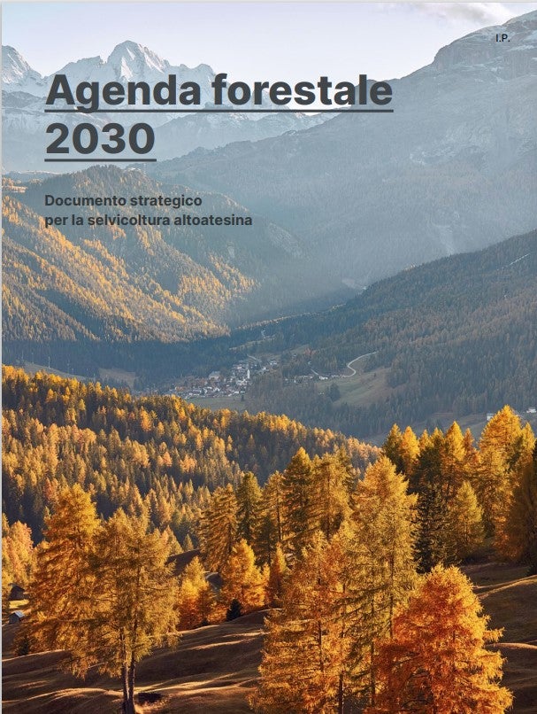 Agenda forestale 2030