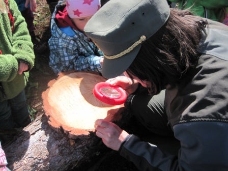 Bambini che contano gli anelli di crescita degli alberi