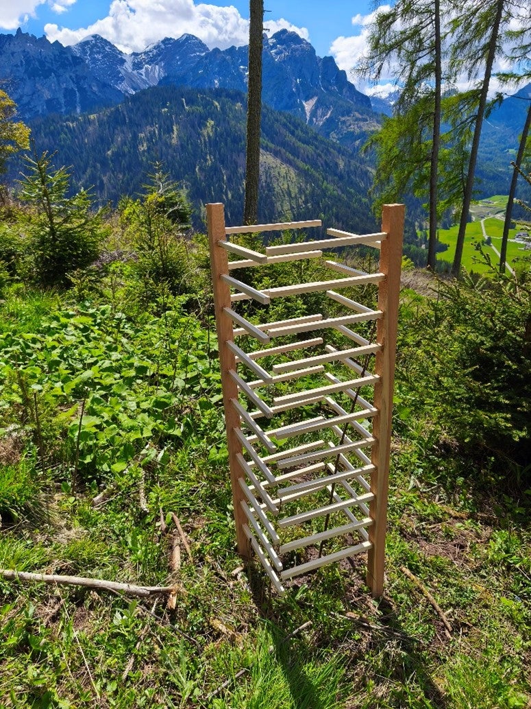 Protezione singola con protezioni in legno per i germogli