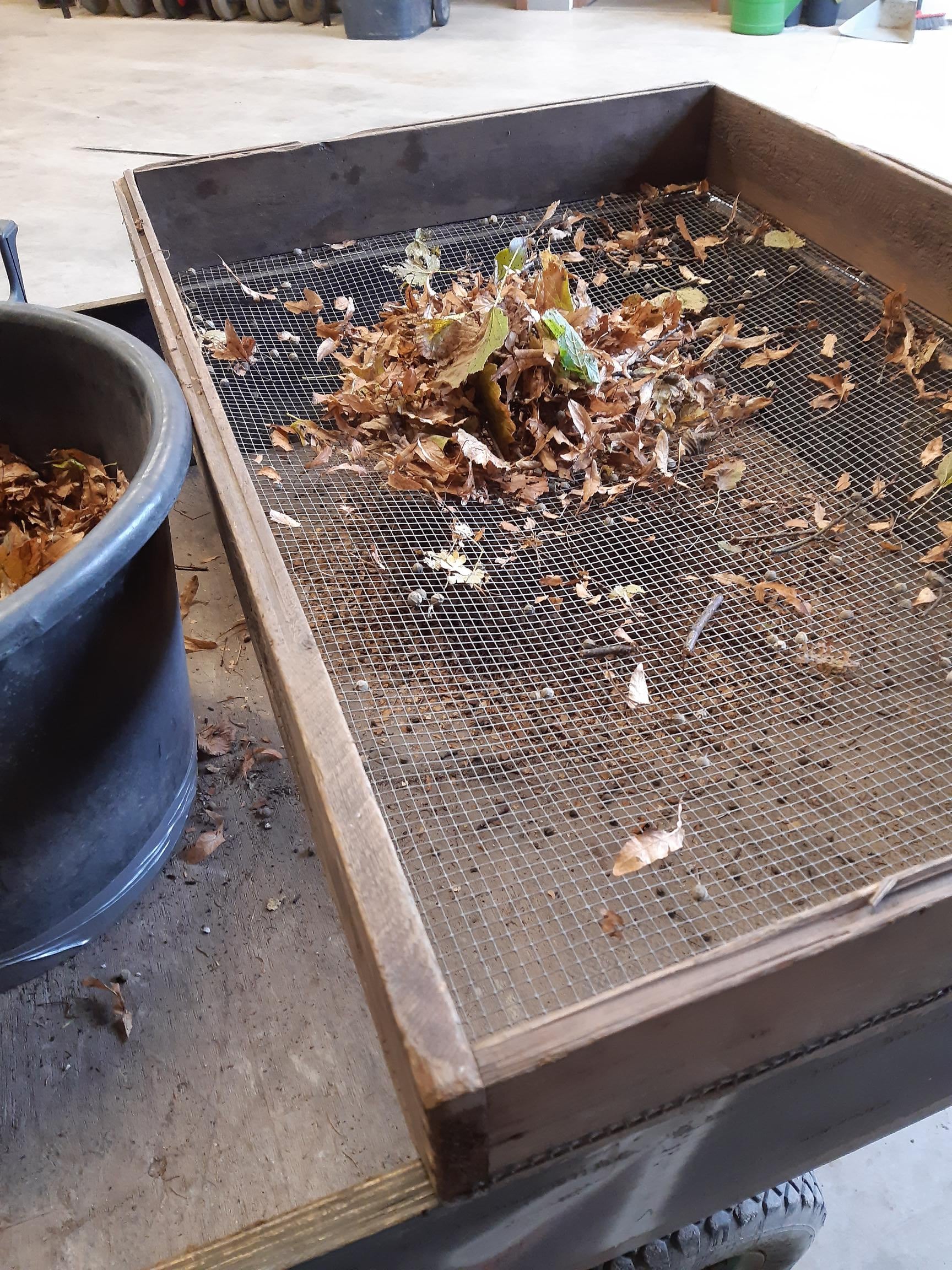 Setaccio con foglie secche e residui vegetali